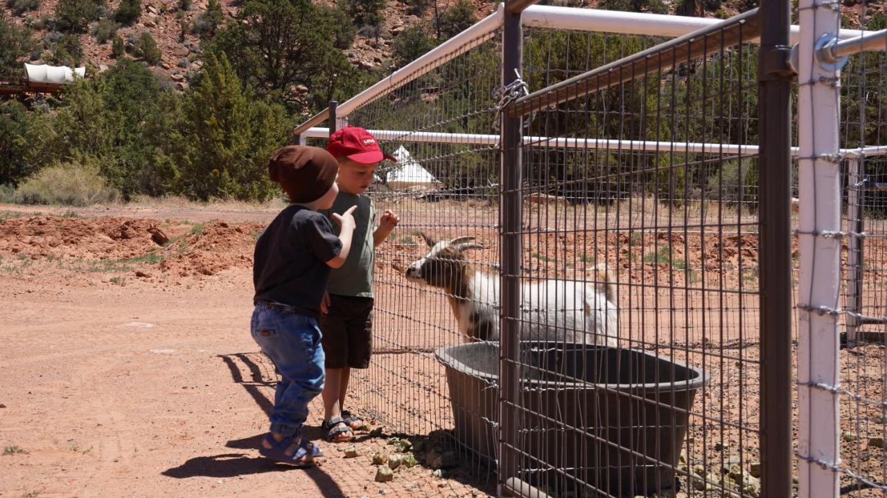 Zion View Camping Hildale Εξωτερικό φωτογραφία